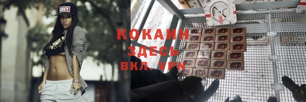 прущие грибы Алексеевка