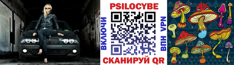 Галлюциногенные грибы Psilocybine cubensis  Лыткарино 