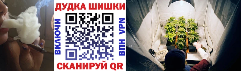 купить наркоту Лыткарино МЕГА как зайти Канабис MAZAR